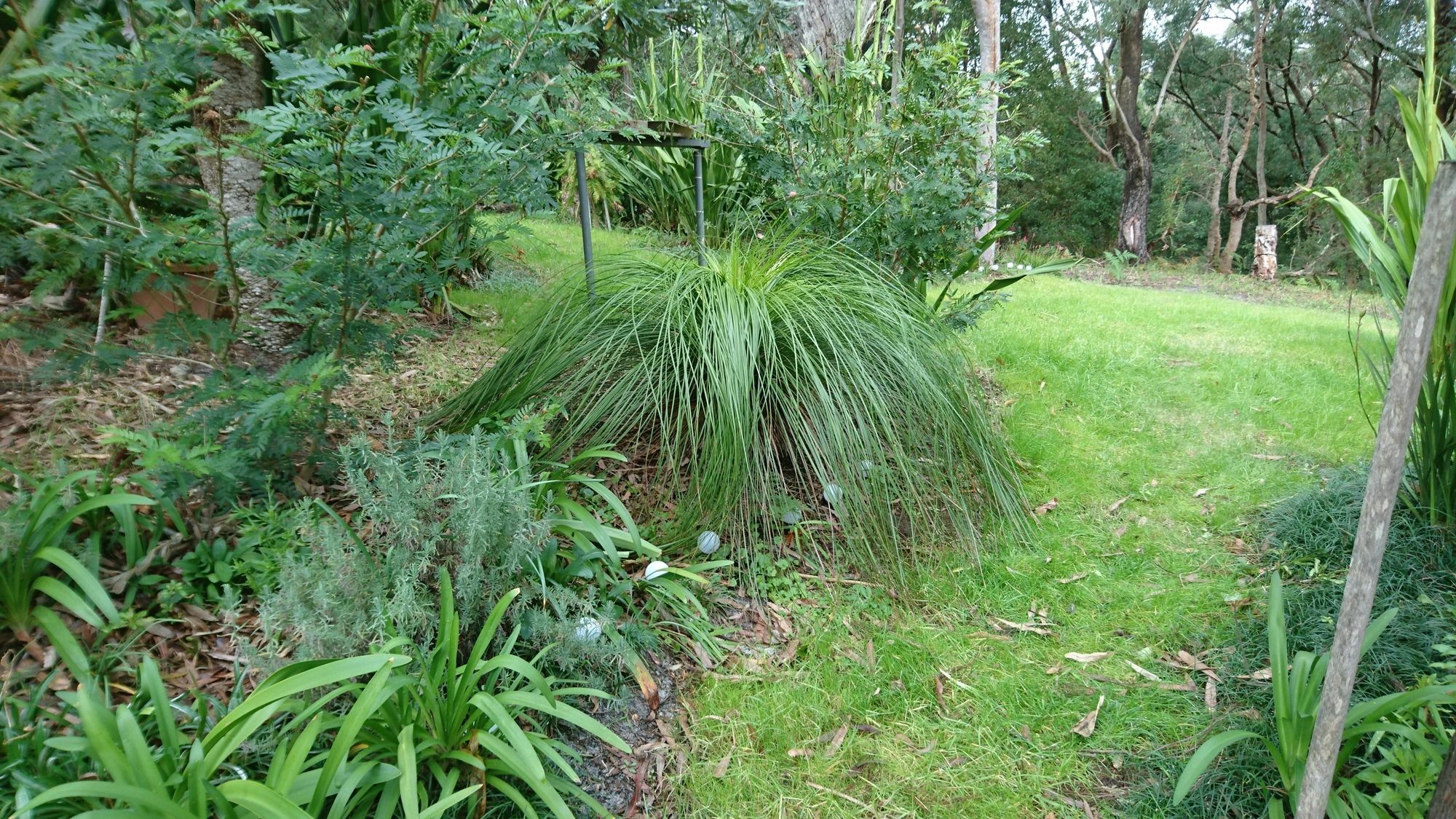 Nelson Bay Bed & Breakfast Exterior foto
