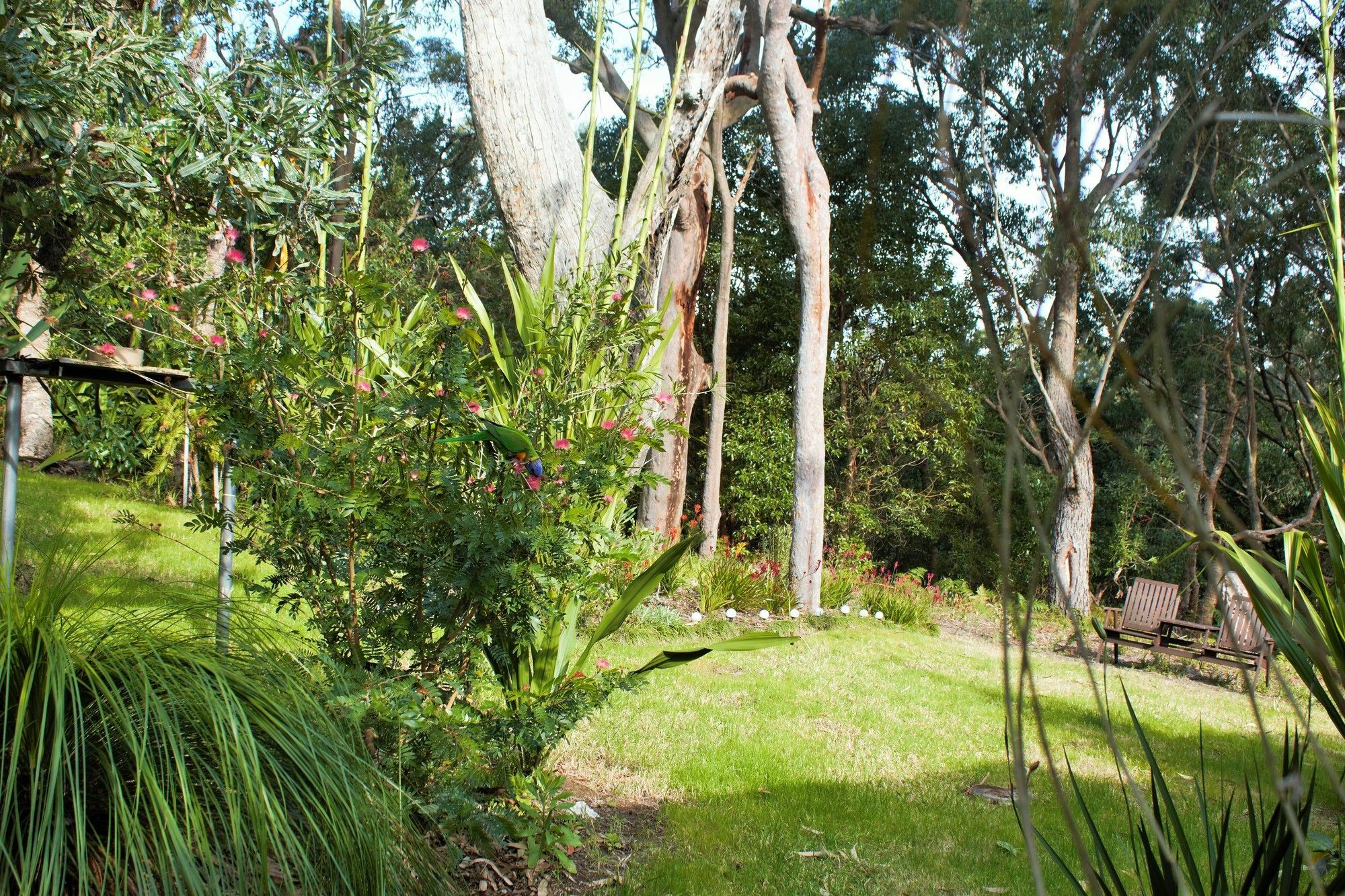 Nelson Bay Bed & Breakfast Exterior foto